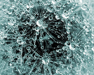 WATER-MOLECULES WATER-MOLECULES